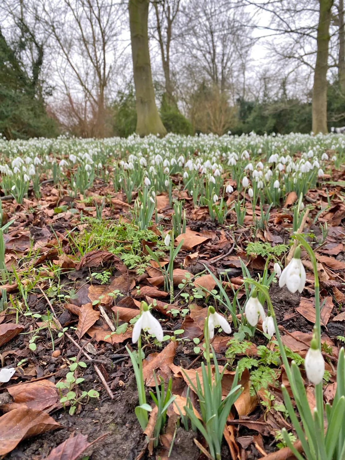 HOPE After Suicide Loss HOPE After Suicide Loss